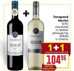 Tarapacá Merlot