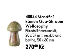 48544 Masážní kámen Gua-Shroom