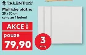 Maliřské plátno