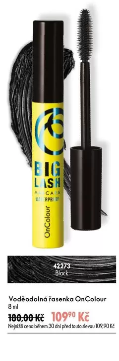 BIG LASH Voděodolná řasenka