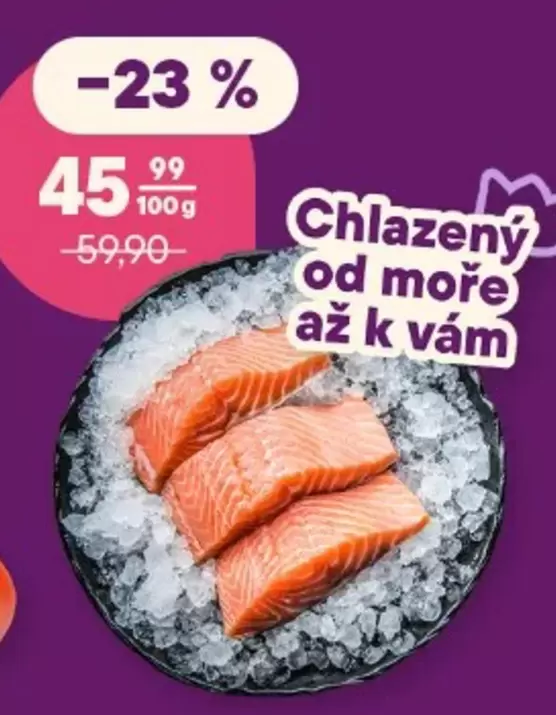 Chladený losos