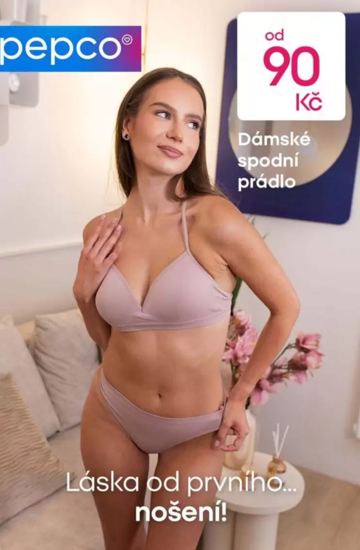 Dámské spodní prádlo