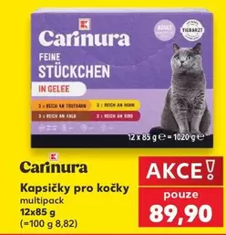 Feine Stückchen in Gelee