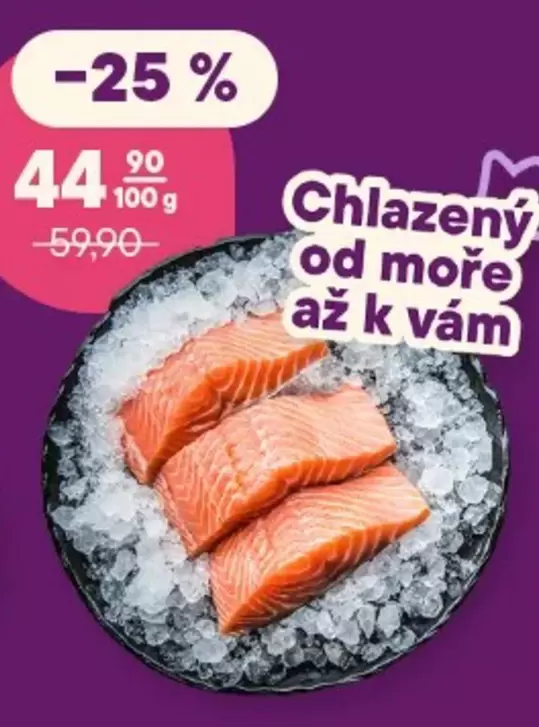 Chlazený losos