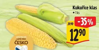 Kukuřice klas