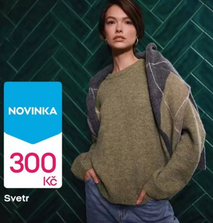 Svetr