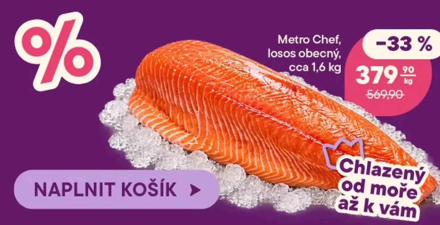 Losos obecný