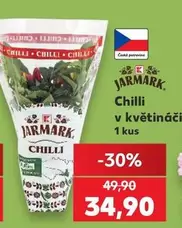Chilli v květináči