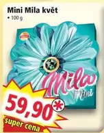 Super - Mini Mila květ