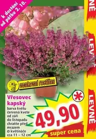 Super - Vřesovec kepsy