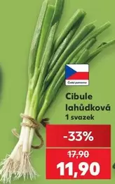 Cibule lahůdková