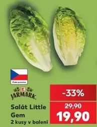 Salát Little Gem