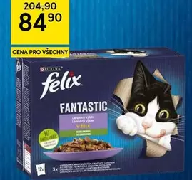 Felix Fantastic