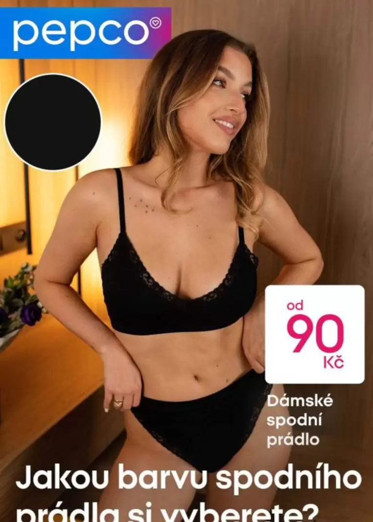 Dámské spodní prádlo
