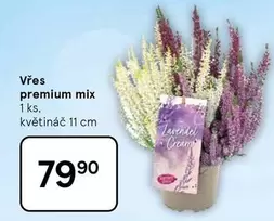 Vřes premium mix
