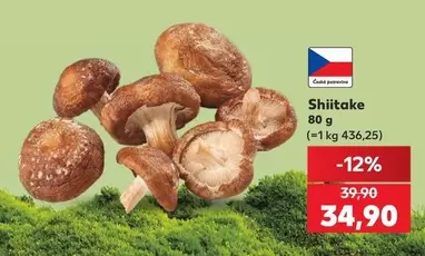 Shiitake