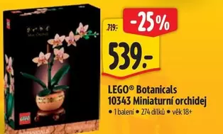 Botanicals 10343 Miniaturni orchidej