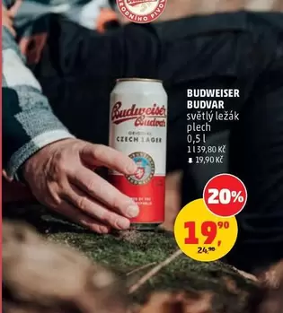 světlý ležák plech