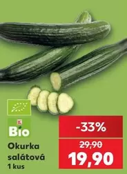 Okurka salátová