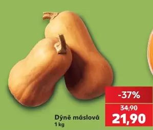 Dýně máslová