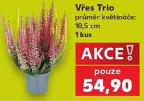 Vřes Trio
