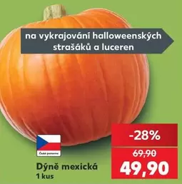 Dýně mexická