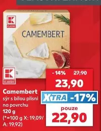 Camembert s bilou plisni