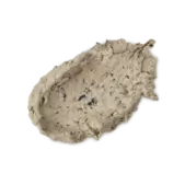 Mineralise Me