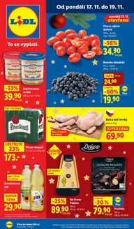 Lidl katalog v Vysoké Mýto | Akční leták OD PONDĚLÍ | 2025-11-13T00:00:00.000Z - 2025-11-23T00:00:00.000Z