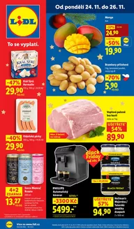 Lidl katalog v Vysoké Mýto | Skvělá nabídka pro lovce výhodných nákupů | 2025-11-20T00:00:00.000Z - 2025-11-30T00:00:00.000Z