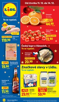 Lidl katalog v Plzeň | Skvělá nabídka pro lovce výhodných nákupů | 2025-12-04T00:00:00.000Z - 2025-12-14T00:00:00.000Z