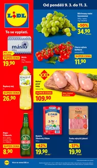 Lidl katalog | Exkluzivní nabídky pro naše zákazníky | 2026-03-05T00:00:00.000Z - 2026-03-15T00:00:00.000Z