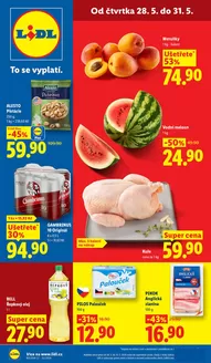 Lidl katalog v Brno | 28. 5. - 31. 5. 2026 | 2026-05-28T00:00:00.000Z - 2026-05-31T00:00:00.000Z