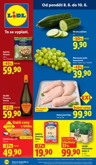 Lidl katalog | 8. 6. - 10. 6. 2026 | 2026-06-08T00:00:00.000Z - 2026-06-14T00:00:00.000Z