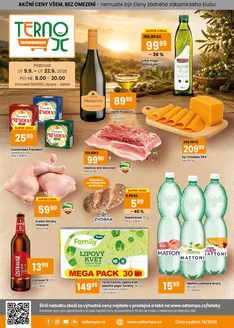 TEMPO katalog v Most | Leták TERNO 9.9. - 22.9.2026 | 2026-09-09T00:00:00.000Z - 2026-09-22T00:00:00.000Z
