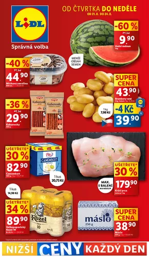 Lidl katalog v Ústí nad Labem | Ušetřete nyní s našimi nabídkami | 2025-08-14T00:00:00.000Z - 2025-08-24T00:00:00.000Z
