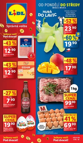 Lidl katalog | Aktuální nabídky a slevy | 2025-08-21T00:00:00.000Z - 2025-08-31T00:00:00.000Z