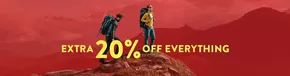 extra 20% off everything
