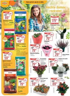 Globus katalog v Teplice | Aktuální speciální akce | 2025-09-10T00:00:00.000Z - 2025-09-23T00:00:00.000Z