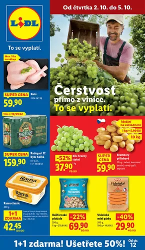 Lidl katalog v Břeclav | Speciální nabídky pro vás | 2025-09-25T00:00:00.000Z - 2025-10-05T00:00:00.000Z