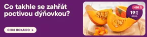 Košík katalog v Most | Košík leták | 2025-10-08T00:00:00.000Z - 2025-10-14T00:00:00.000Z