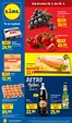 Lidl katalog v Tanvald | Top nabídky pro šetrné zákazníky | 2026-01-08T00:00:00.000Z - 2026-01-18T00:00:00.000Z