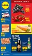 Lidl katalog v Prostějov | Top nabídky pro šetrné zákazníky | 2026-01-08T00:00:00.000Z - 2026-01-18T00:00:00.000Z