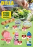 Billa katalog v Třinec | Billa Katalog Svěží jarní nabídka | 2026-02-11T00:00:00.000Z - 2026-03-03T00:00:00.000Z