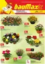 Baumax katalog v Tanvald | Aktuální leták Baumax | 2026-03-01T00:00:00.000Z - 2026-03-31T00:00:00.000Z