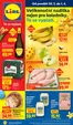 Lidl katalog | 30. 3. - 1. 4. 2026 | 2026-03-30T00:00:00.000Z - 2026-04-05T00:00:00.000Z