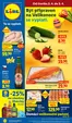 Lidl katalog | 2. 4. - 5. 4. 2026 | 2026-04-02T00:00:00.000Z - 2026-04-05T00:00:00.000Z