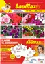 Baumax katalog | Baumax leták | 2026-04-01T00:00:00.000Z - 2026-04-30T00:00:00.000Z
