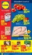 Lidl katalog v Lovosice | 11. 5. - 13. 5. 2026 | 2026-05-11T00:00:00.000Z - 2026-05-17T00:00:00.000Z