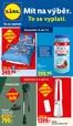 Lidl katalog | 1. 6. - 7. 6. 2026 | 2026-06-01T00:00:00.000Z - 2026-06-07T00:00:00.000Z